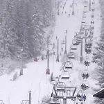 Pretty Nest In Gérardmer