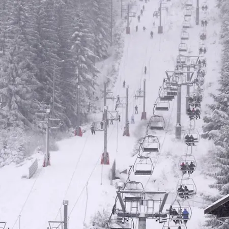 Pretty Nest In Gérardmer