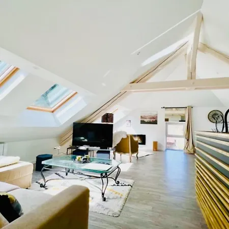 Apartment Pretty Nest In Gerardmer