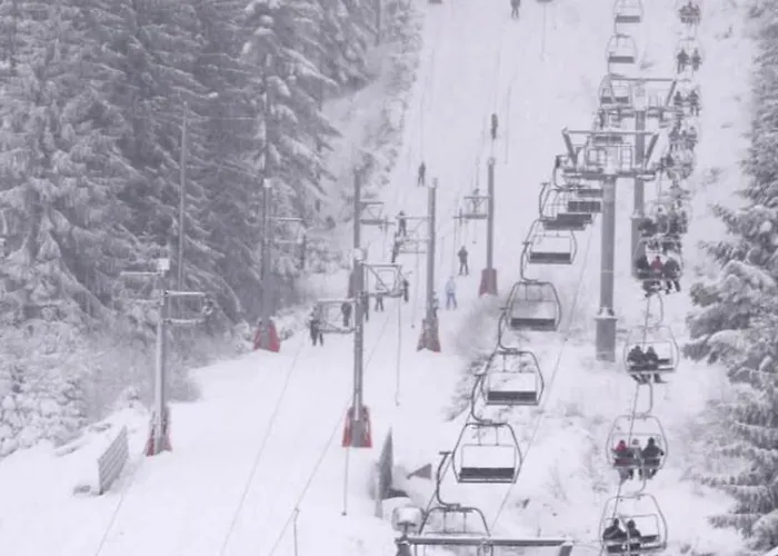 Pretty Nest In Gerardmer