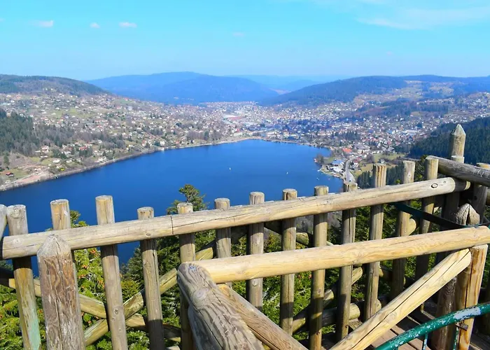 Apartment Pretty Nest In