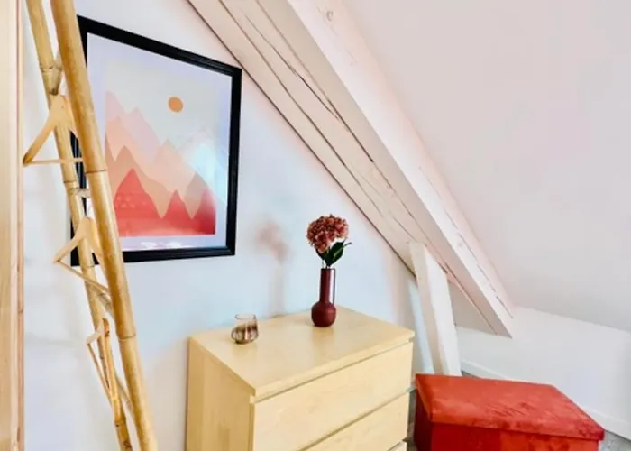 Pretty Nest In Apartment Gerardmer